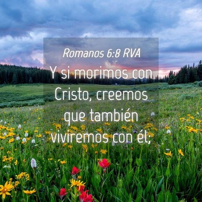 Picture 04 - Romanos 6:8 RVA - Y si morimos con Cristo, creemos que también - Bible Verse Picture