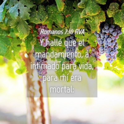 Picture 04 - Romanos 7:10 RVA - Y hallé que el mandamiento, á intimado para - Bible Verse Picture