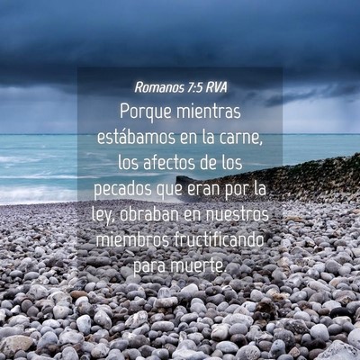 Picture 04 - Romanos 7:5 RVA - Porque mientras estábamos en la carne, los - Bible Verse Picture