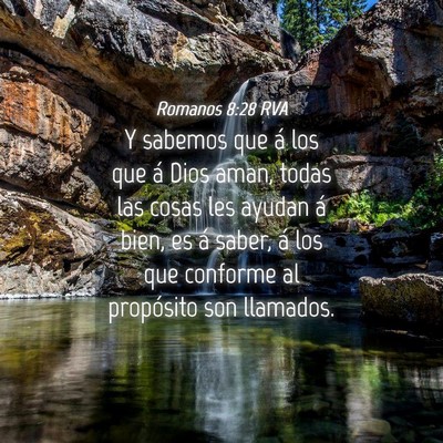 Picture 04 - Romanos 8:28 RVA - Y sabemos que á los que á Dios aman, todas las - Bible Verse Picture