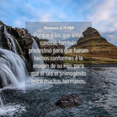 Picture 04 - Romanos 8:29 RVA - Porque á los que antes conoció, también - Bible Verse Picture