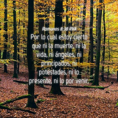 Picture 04 - Romanos 8:38 RVA - Por lo cual estoy cierto que ni la muerte, ni la - Bible Verse Picture