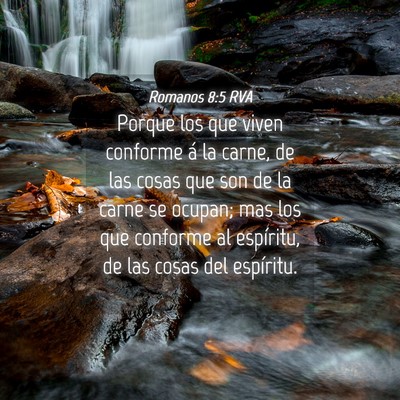 Picture 04 - Romanos 8:5 RVA - Porque los que viven conforme á la carne, de las - Bible Verse Picture