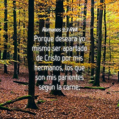 Picture 04 - Romanos 9:3 RVA - Porque deseara yo mismo ser apartado de Cristo - Bible Verse Picture