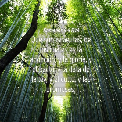 Picture 04 - Romanos 9:4 RVA - Que son israelitas, de los cuales es la - Bible Verse Picture