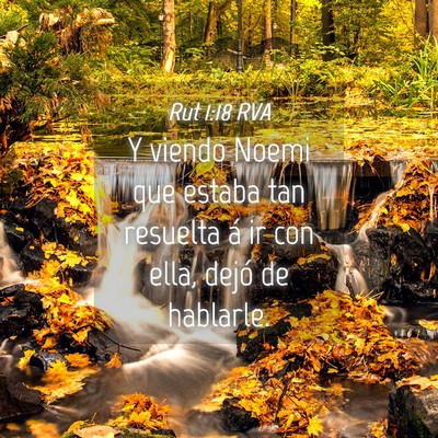 Picture 04 - Rut 1:18 RVA - Y viendo Noemi que estaba tan resuelta á ir con - Bible Verse Picture