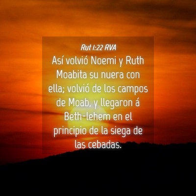 Picture 04 - Rut 1:22 RVA - Así volvió Noemi y Ruth Moabita su nuera con - Bible Verse Picture