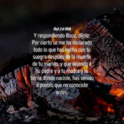 Picture 04 - Rut 2:11 RVA - Y respondiendo Booz, díjole: Por cierto se me ha - Bible Verse Picture