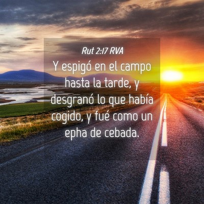 Picture 04 - Rut 2:17 RVA - Y espigó en el campo hasta la tarde, y desgranó - Bible Verse Picture