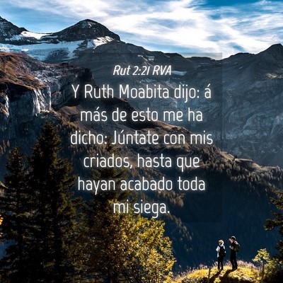 Picture 04 - Rut 2:21 RVA - Y Ruth Moabita dijo: á más de esto me ha dicho: - Bible Verse Picture