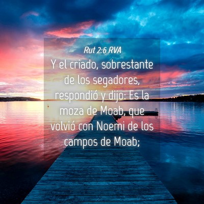 Picture 04 - Rut 2:6 RVA - Y el criado, sobrestante de los segadores, - Bible Verse Picture