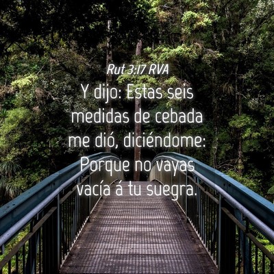 Picture 04 - Rut 3:17 RVA - Y dijo: Estas seis medidas de cebada me dió, - Bible Verse Picture