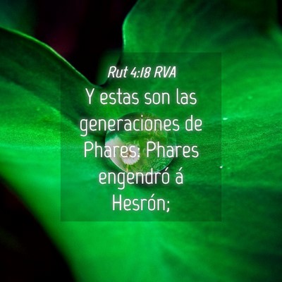 Picture 04 - Rut 4:18 RVA - Y estas son las generaciones de Phares: Phares - Bible Verse Picture