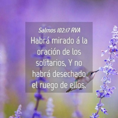 Picture 04 - Salmos 102:17 RVA - Habrá mirado á la oración de los solitarios, Y - Bible Verse Picture