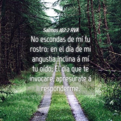 Picture 04 - Salmos 102:2 RVA - No escondas de mí tu rostro: en el día de mi - Bible Verse Picture