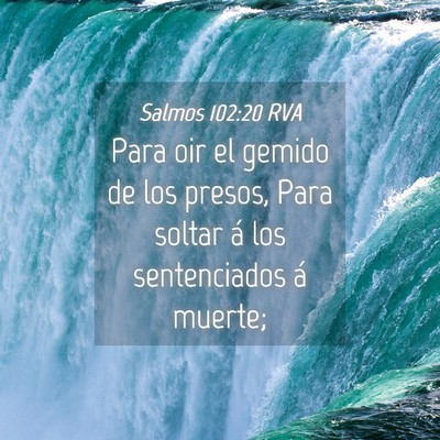 Picture 04 - Salmos 102:20 RVA - Para oir el gemido de los presos, Para soltar á - Bible Verse Picture