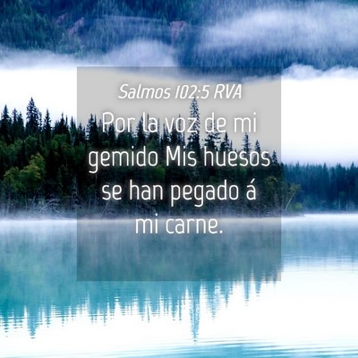 Picture 04 - Salmos 102:5 RVA - Por la voz de mi gemido Mis huesos se han pegado - Bible Verse Picture
