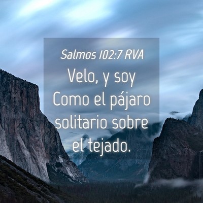 Picture 04 - Salmos 102:7 RVA - Velo, y soy Como el pájaro solitario sobre el - Bible Verse Picture