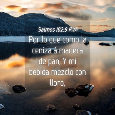 Picture 04 - Salmos 102:9 RVA - Por lo que como la ceniza á manera de pan, Y mi - Bible Verse Picture