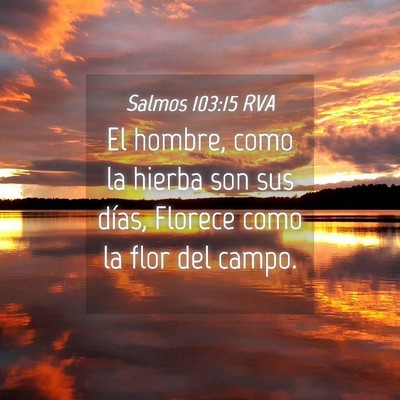 Picture 04 - Salmos 103:15 RVA - El hombre, como la hierba son sus días, Florece - Bible Verse Picture