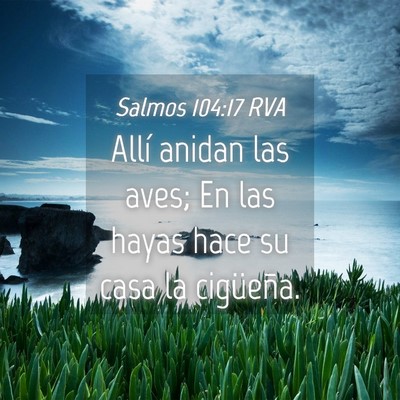 Picture 04 - Salmos 104:17 RVA - Allí anidan las aves; En las hayas hace su casa - Bible Verse Picture