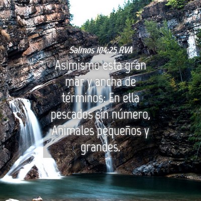 Picture 04 - Salmos 104:25 RVA - Asimismo esta gran mar y ancha de términos: En - Bible Verse Picture