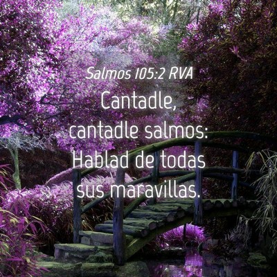 Picture 04 - Salmos 105:2 RVA - Cantadle, cantadle salmos: Hablad de todas sus - Bible Verse Picture