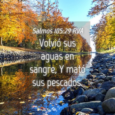 Picture 04 - Salmos 105:29 RVA - Volvió sus aguas en sangre, Y mató sus - Bible Verse Picture