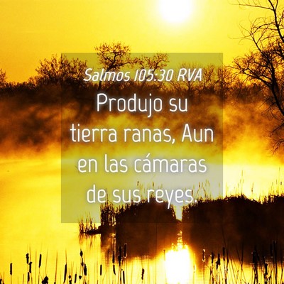 Picture 04 - Salmos 105:30 RVA - Produjo su tierra ranas, Aun en las cámaras de - Bible Verse Picture