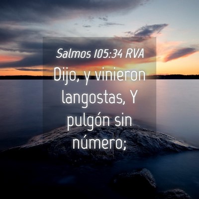 Picture 04 - Salmos 105:34 RVA - Dijo, y vinieron langostas, Y pulgón sin - Bible Verse Picture