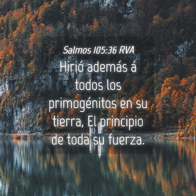 Picture 04 - Salmos 105:36 RVA - Hirió además á todos los primogénitos en su - Bible Verse Picture