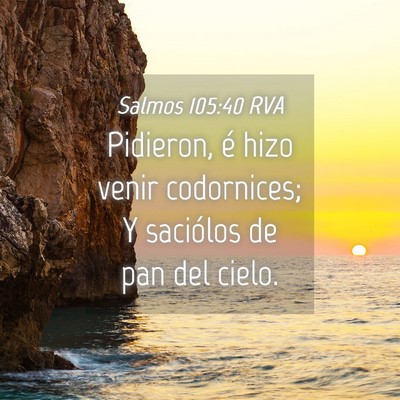 Picture 04 - Salmos 105:40 RVA - Pidieron, é hizo venir codornices; Y saciólos - Bible Verse Picture