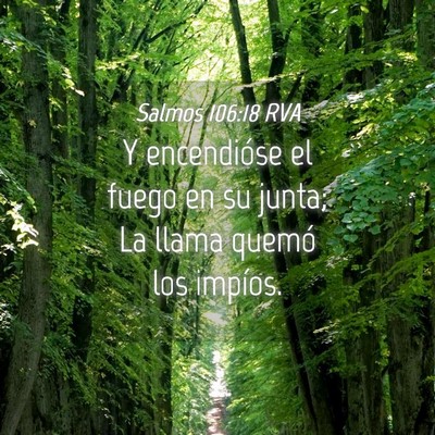 Picture 04 - Salmos 106:18 RVA - Y encendióse el fuego en su junta; La llama - Bible Verse Picture