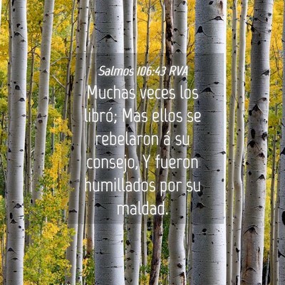 Picture 04 - Salmos 106:43 RVA - Muchas veces los libró; Mas ellos se rebelaron - Bible Verse Picture