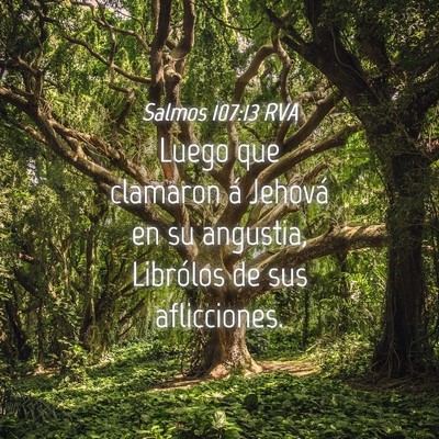 Picture 04 - Salmos 107:13 RVA - Luego que clamaron á Jehová en su angustia, - Bible Verse Picture