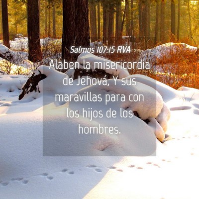 Picture 04 - Salmos 107:15 RVA - Alaben la misericordia de Jehová, Y sus - Bible Verse Picture