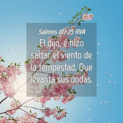 Picture 04 - Salmos 107:25 RVA - El dijo, é hizo saltar el viento de la - Bible Verse Picture