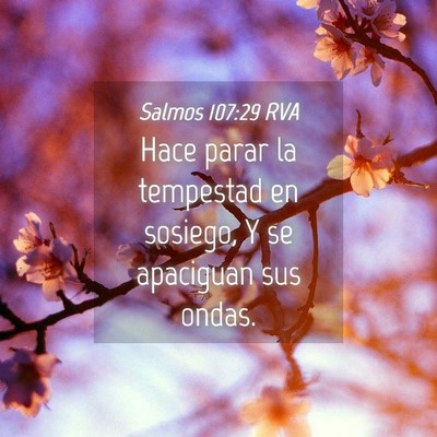 Picture 04 - Salmos 107:29 RVA - Hace parar la tempestad en sosiego, Y se - Bible Verse Picture