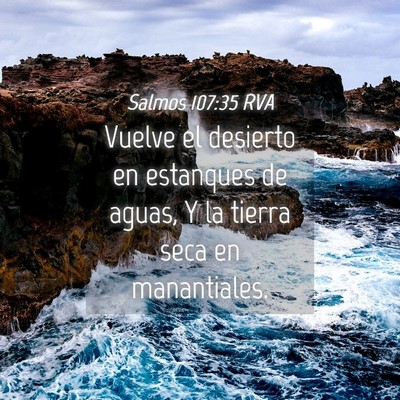 Picture 04 - Salmos 107:35 RVA - Vuelve el desierto en estanques de aguas, Y la - Bible Verse Picture