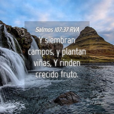 Picture 04 - Salmos 107:37 RVA - Y siembran campos, y plantan viñas, Y rinden - Bible Verse Picture