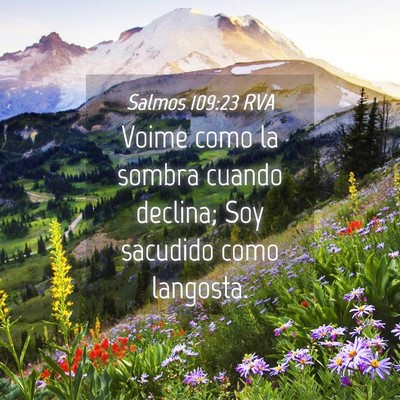 Picture 04 - Salmos 109:23 RVA - Voime como la sombra cuando declina; Soy sacudido - Bible Verse Picture