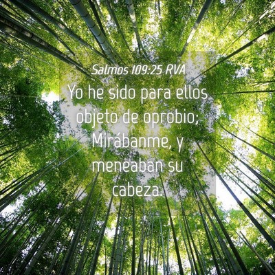 Picture 04 - Salmos 109:25 RVA - Yo he sido para ellos objeto de oprobio; - Bible Verse Picture