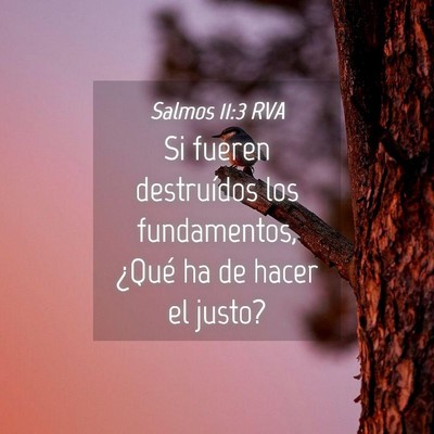 Picture 04 - Salmos 11:3 RVA - Si fueren destruídos los fundamentos, ¿Qué ha - Bible Verse Picture
