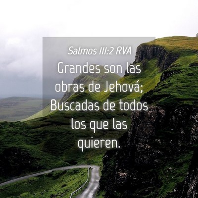 Picture 04 - Salmos 111:2 RVA - Grandes son las obras de Jehová; Buscadas de - Bible Verse Picture