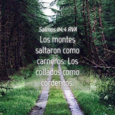 Picture 04 - Salmos 114:4 RVA - Los montes saltaron como carneros: Los collados - Bible Verse Picture