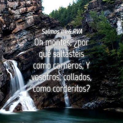 Picture 04 - Salmos 114:6 RVA - Oh montes, ¿por qué saltasteis como carneros, Y - Bible Verse Picture