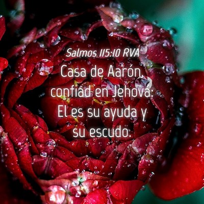 Picture 04 - Salmos 115:10 RVA - Casa de Aarón, confiad en Jehová: El es su - Bible Verse Picture