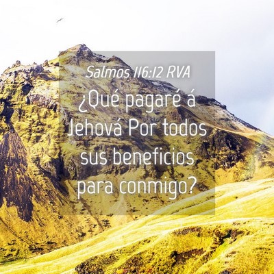 Picture 04 - Salmos 116:12 RVA - ¿Qué pagaré á Jehová Por todos sus - Bible Verse Picture