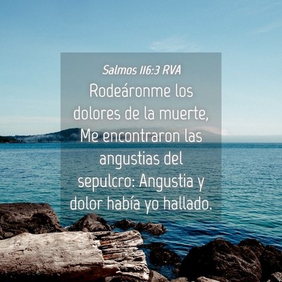 Picture 04 - Salmos 116:3 RVA - Rodeáronme los dolores de la muerte, Me - Bible Verse Picture