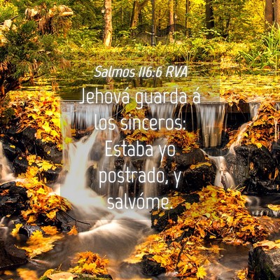 Picture 04 - Salmos 116:6 RVA - Jehová guarda á los sinceros: Estaba yo - Bible Verse Picture